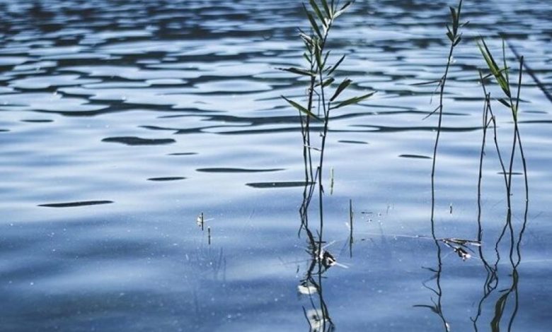 Чернігівські рятувальники підняли з річки Стрижень тіло 22-річного хлопця