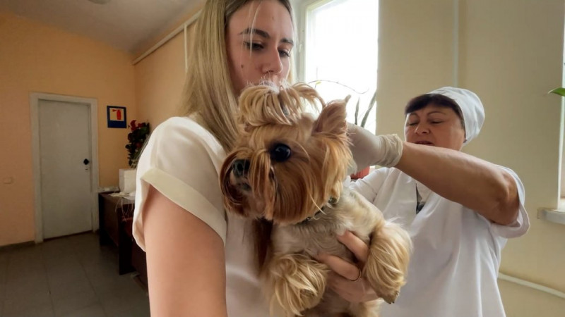 У Чернігові фіксують наплив охочих отримати довідку про стан здоров’я дитини і спроби батьків її купити, — лікар