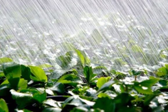 Короткочасний дощ, подекуди грози: синоптики дали прогнози на вихідні