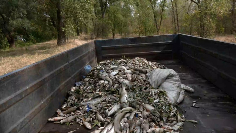 Проби води з Десни у Чернігові відбирають тричі на день: як змінюються показники, які відслідковують
