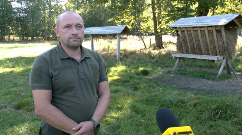Заборона на полювання, обстріли росіян та пожежі: у лісах на півночі Чернігівщини побільшало тварин, зокрема, хижаків