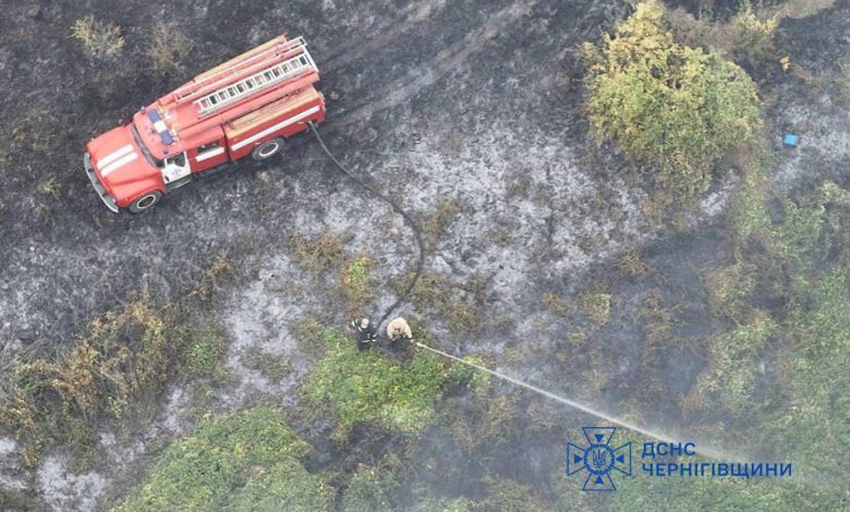 18 пожеж в екосистемах за добу: надзвичайники Чернігівщини закликають обережно поводитися з вогнем (Фото)