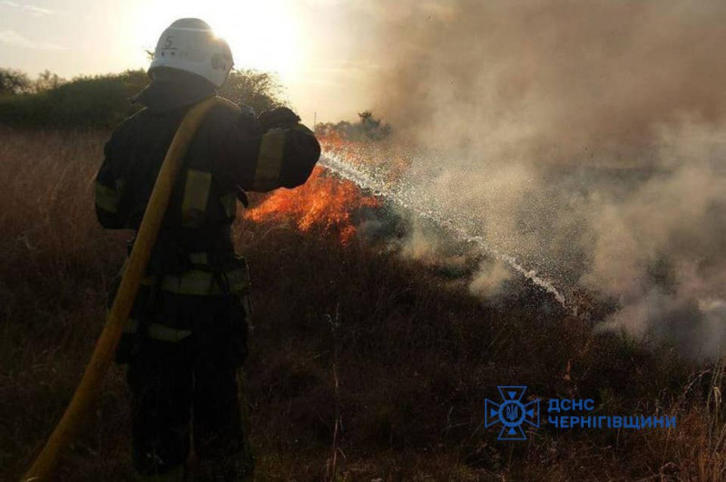 18 пожеж в екосистемах за добу: надзвичайники Чернігівщини закликають обережно поводитися з вогнем (Фото)