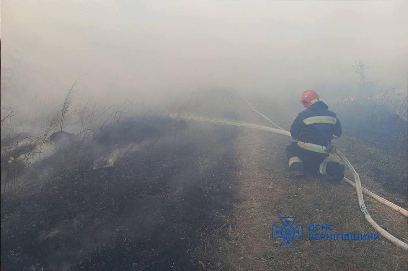 18 пожеж в екосистемах за добу: надзвичайники Чернігівщини закликають обережно поводитися з вогнем (Фото)