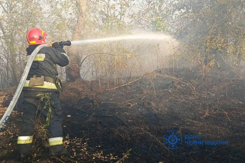 18 пожеж в екосистемах за добу: надзвичайники Чернігівщини закликають обережно поводитися з вогнем (Фото)