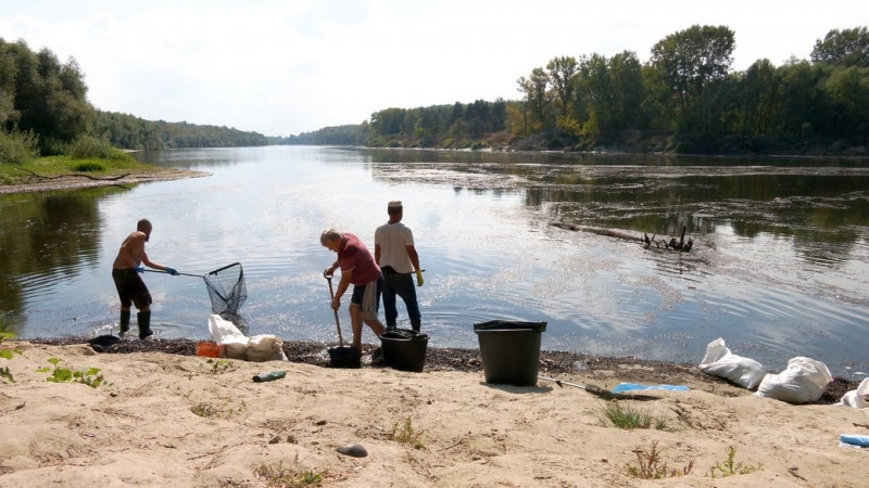 У річці Десна у Чернігові зафіксували перевищення марганцю у воді: чого очікувати Києву