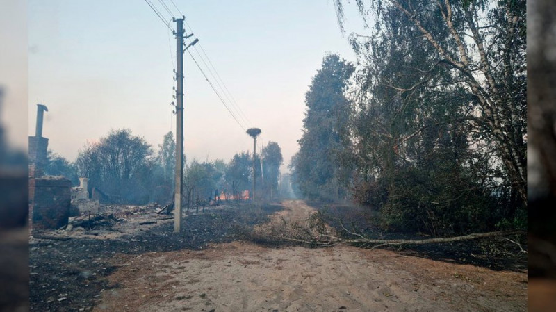 "Район вже третій тиждень в диму": у двох прикордонних селах Чернігівщини за добу згоріли понад 30 будинків