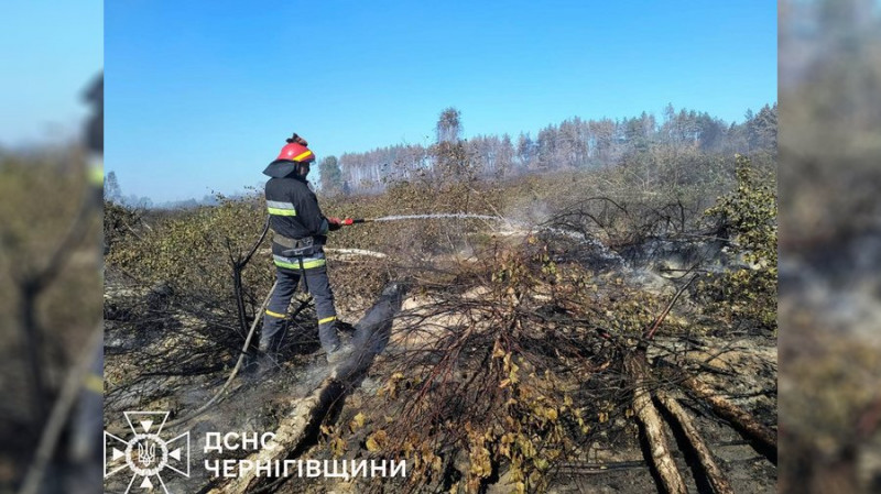 Для ліквідації пожежі торфовища на Чернігівщині залучили 76 вогнеборців та запустили насосну станцію