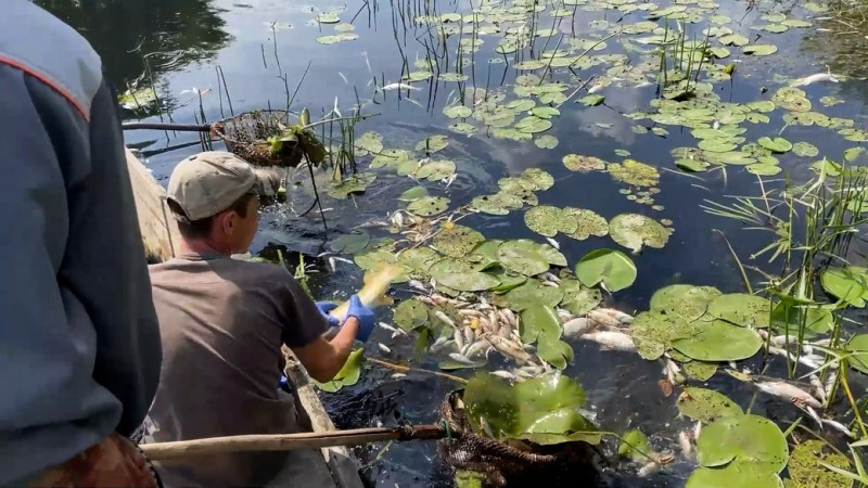 Проби води з Десни у Чернігові відбирають тричі на день: як змінюються показники, які відслідковують