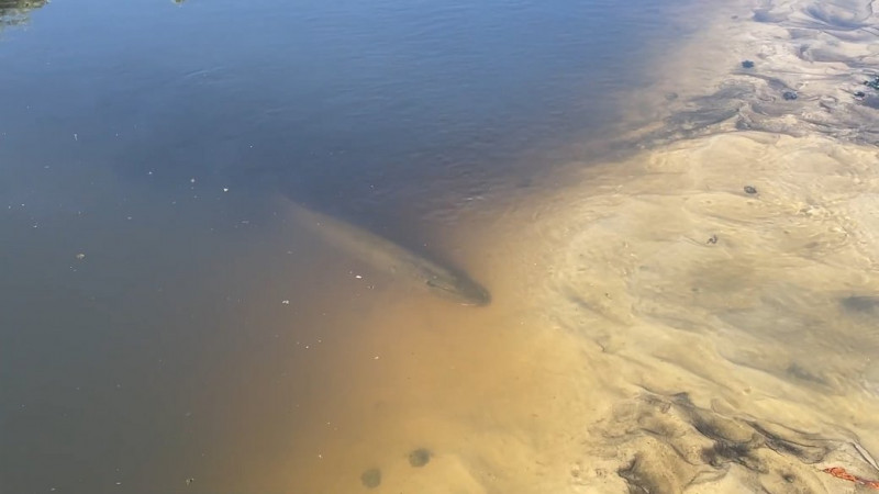 Вода в річках Десна та Сейм буде чистою через 2-3 тижні, — Держводагентство