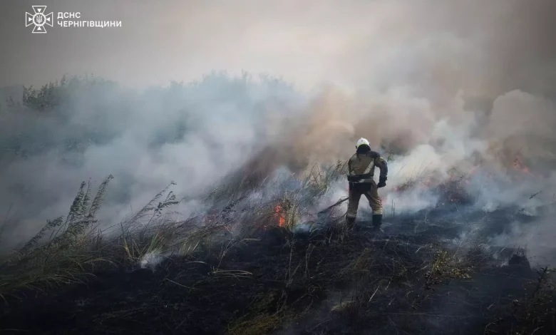 Через пожежу сухої трави на Чернігівщині згоріла електропідстанція