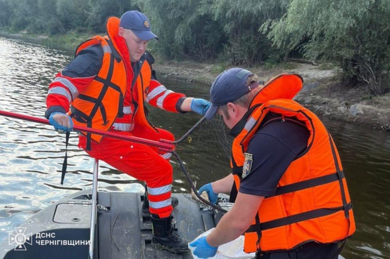 Десять разів за добу вогнеборці долали пожежі на Чернігівщині (Фото)