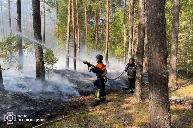 Десять разів за добу вогнеборці долали пожежі на Чернігівщині (Фото)