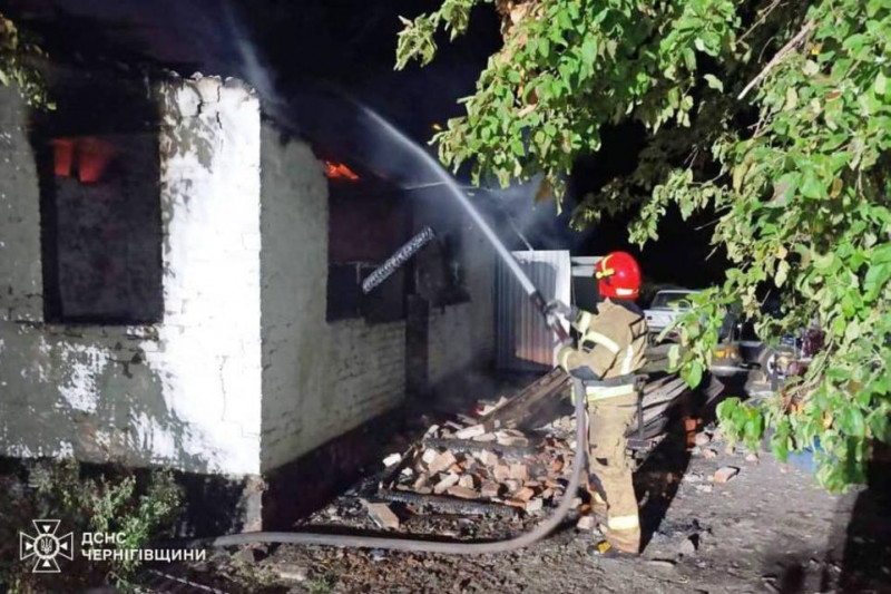 Десять разів за добу вогнеборці долали пожежі на Чернігівщині (Фото)