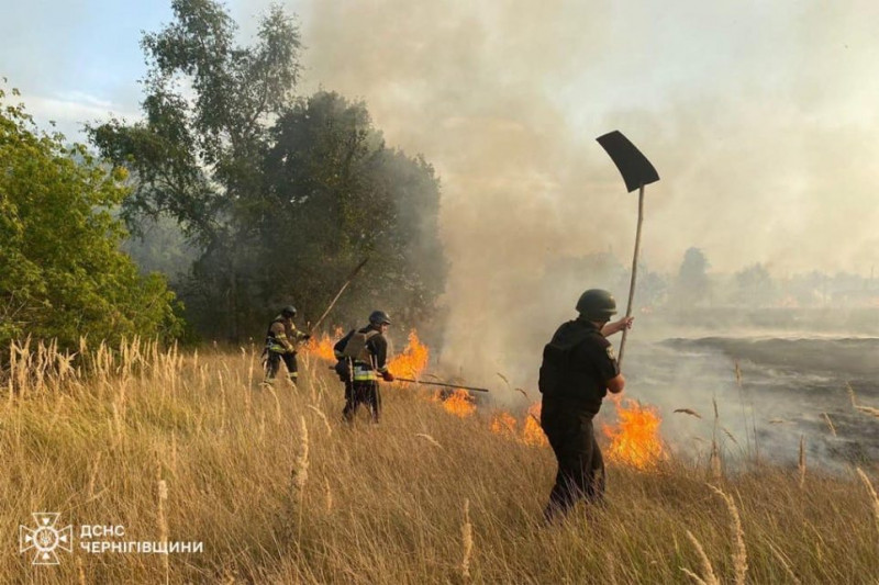 Десять разів за добу вогнеборці долали пожежі на Чернігівщині (Фото)