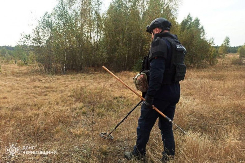 Десять разів за добу вогнеборці долали пожежі на Чернігівщині (Фото)