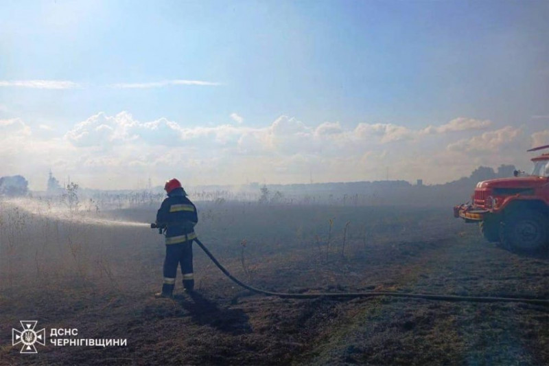 Десять разів за добу вогнеборці долали пожежі на Чернігівщині (Фото)