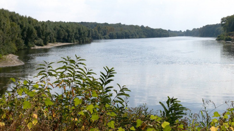 Повторно забруднена вода може не дійти до Чернігова: в екоінспекції розповіли про стан Десни та Сейму в області