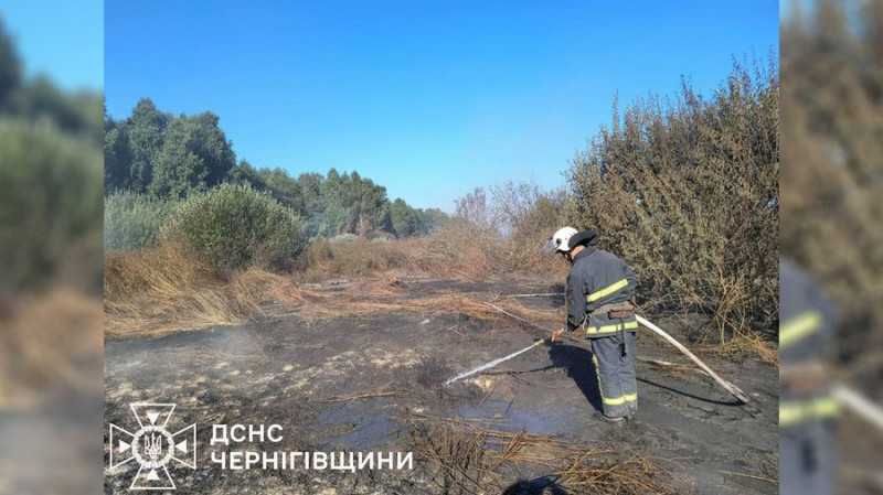 Для ліквідації пожежі торфовища на Чернігівщині залучили 76 вогнеборців та запустили насосну станцію