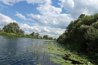 Характер забруднення на річці Десна почав змінюватися