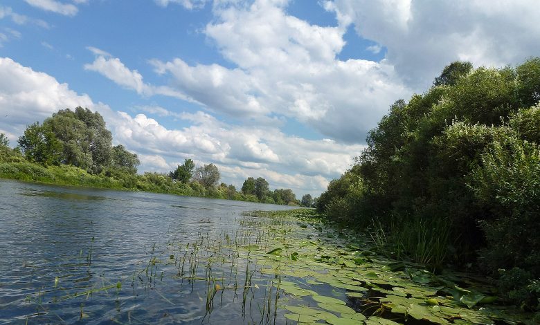 Якість води у Сеймі на Чернігівщині погіршується,- Міндовкілля  