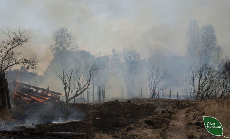 Лісівники на Чернігівщині допомогли подолати масштабну пожежу після обстрілу села
