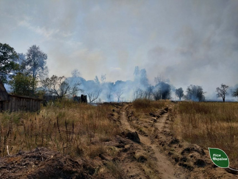 Лісівники на Чернігівщині допомогли подолати масштабну пожежу після обстрілу села