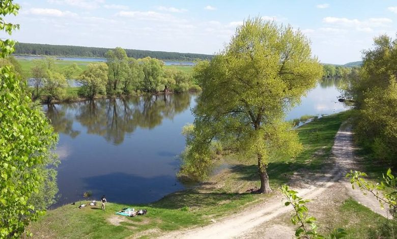 Мальовниче село Радичів розташоване на Чернігівщині (Фото)