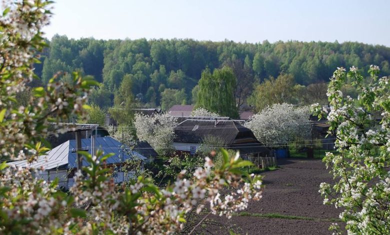 Мальовниче село Радичів розташоване на Чернігівщині (Фото)