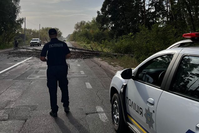 У Чернігівському районі дерево заблокувало дорогу