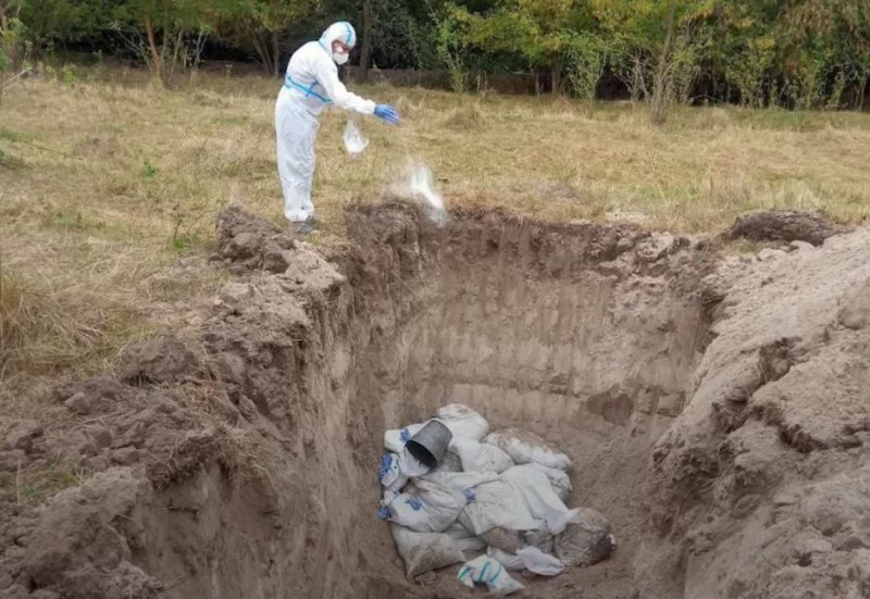 У громаді на Чернігівщині з Сейму виловили близько 1500 кілограм загиблої риби (Фото)
