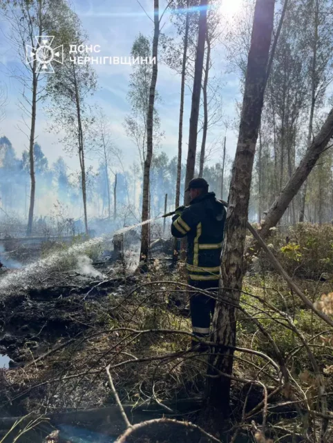 За добу на Чернігівщині через пожежі в екосистемах вигоріло близько 24 гектарів (Фото)