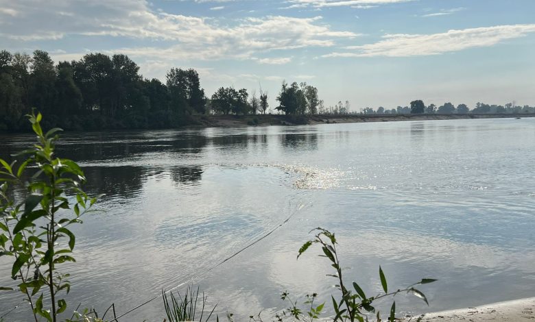 За добу забруднена вода у Десні подолала приблизно 30 кілометрів та дійшла до села Соколівка на Чернігівщині