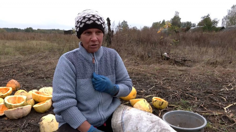 "Дуже страшно — дрон летить, ми вибираємо": як в Архипівці на Чернігівщині під обстрілами збирають гарбузове насіння