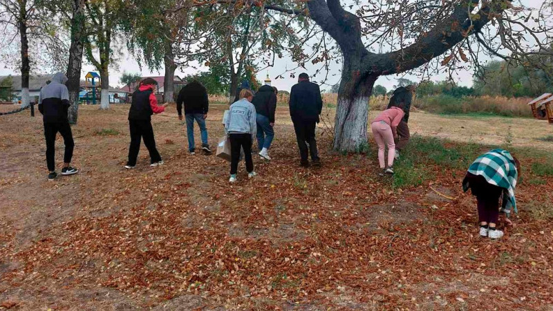 У чернігівському дитсадку №69 зібрали майже тисячу кілограмів каштанів для потреб закладу