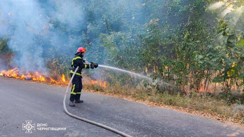 Через бойові дії в Семенівській громаді на Чернігівщині загорілися 9 гектарів лісу