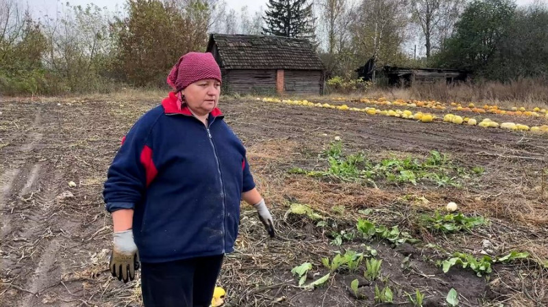 "Дуже страшно — дрон летить, ми вибираємо": як в Архипівці на Чернігівщині під обстрілами збирають гарбузове насіння