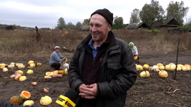 "Дуже страшно — дрон летить, ми вибираємо": як в Архипівці на Чернігівщині під обстрілами збирають гарбузове насіння