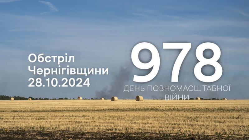 Скид з БпЛА, РСЗВ, FPV-дрони, артилерія: російська армія атакувала прикордоння Чернігівщини