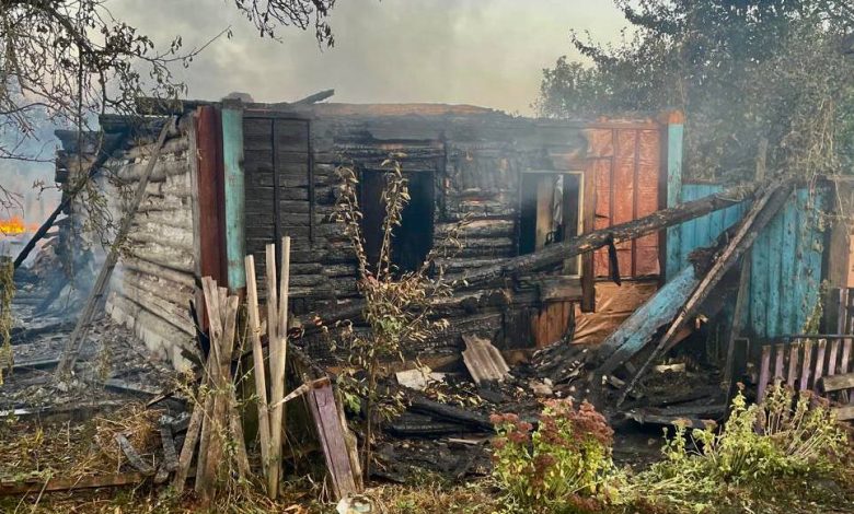 Горить ліс і будинки: Чаус показав наслідки ворожого обстрілу