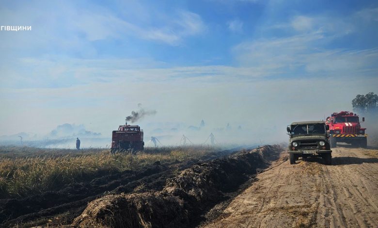 На Чернігівщині ліквідовано масштабну торф’яну пожежу (Фото)