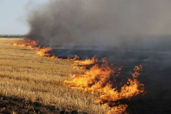 На Чернігівщині п’ятеро паліїв сухої трави в судах отримали штрафи в понад три тисячі гривень 