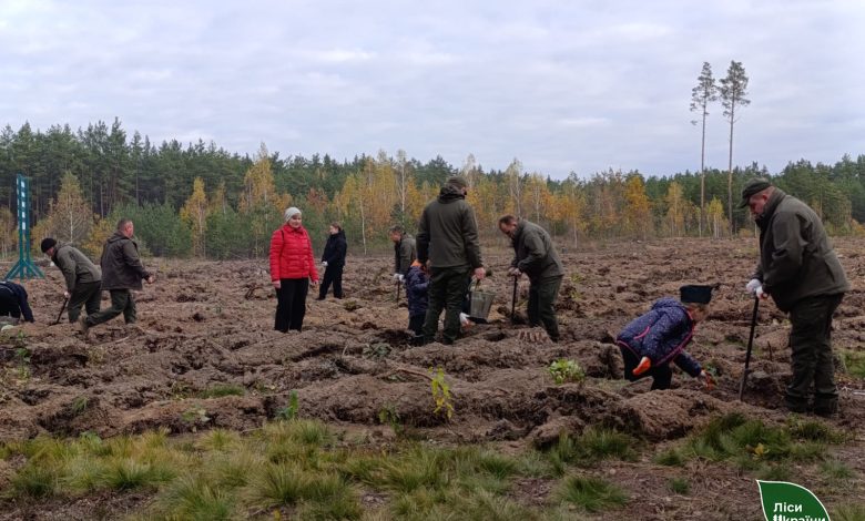 На Чернігівщині в пам’ять про загиблих воїнів висадили молодий ліс