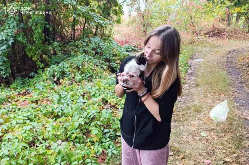 На Чернігівщині з каналізації врятували кошеня (Фото)