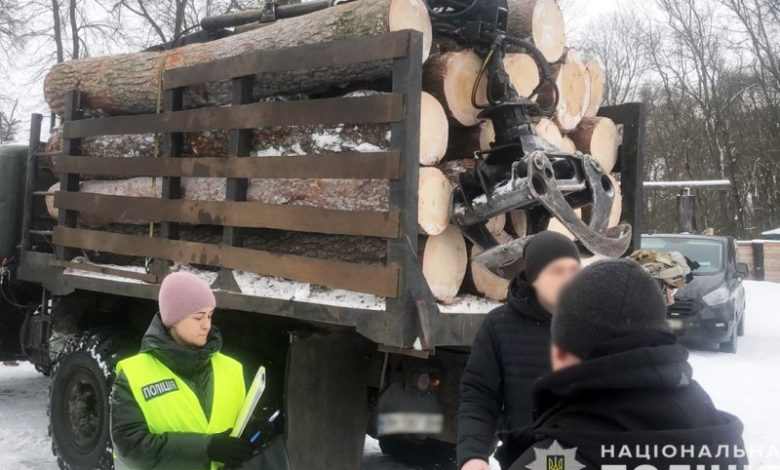 Знищили дерева на десятки мільйонів гривень: на Чернігівщині справу «чорних лісорубів» скерували до суду