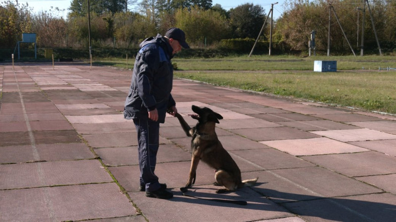 Пес з ДСНС з кінологом відшукали 3-х дітей: як чернігівські рятувальники вдруге отримують нагороду "За врятоване життя"