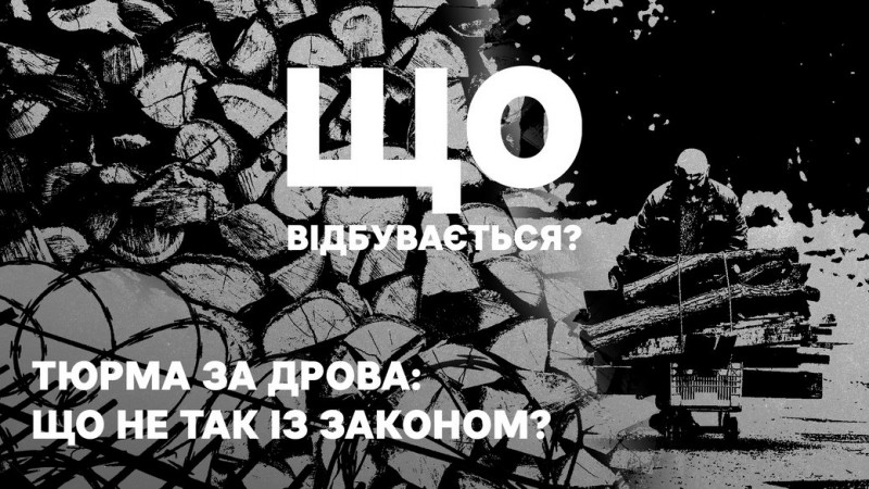 На 188 лісових ділянках Чернігівщини люди можуть безплатно заготовити дрова