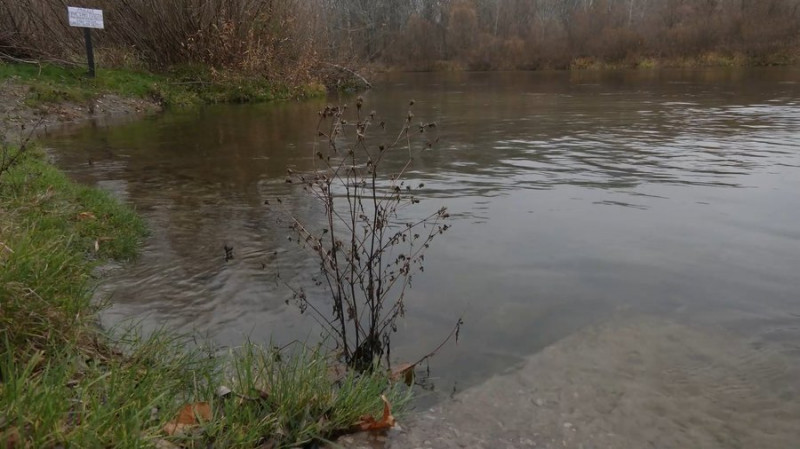 Перша риба та прозора вода: рибалки з Чернігівщини про відновлення річки Сейм після забруднення