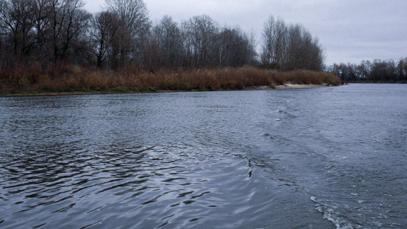 Перша риба та прозора вода: рибалки з Чернігівщини про відновлення річки Сейм після забруднення