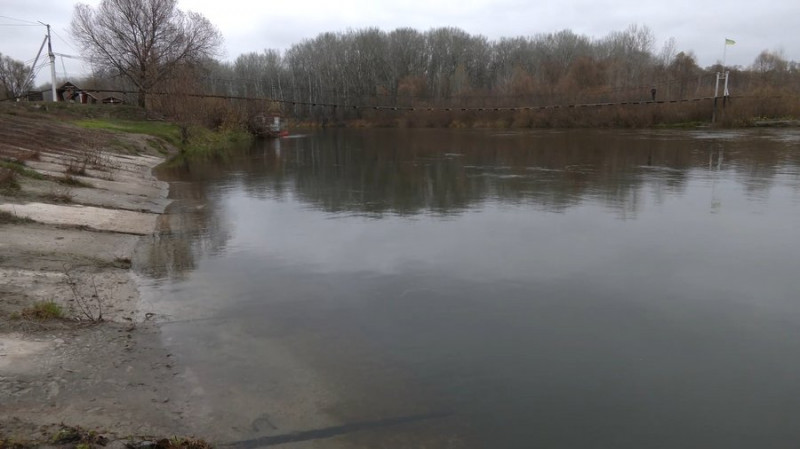 Перша риба та прозора вода: рибалки з Чернігівщини про відновлення річки Сейм після забруднення